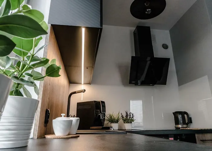 公寓 Barona 蒂黑