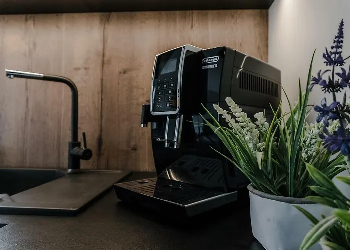 公寓 Barona 蒂黑